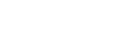 Logo Footer
