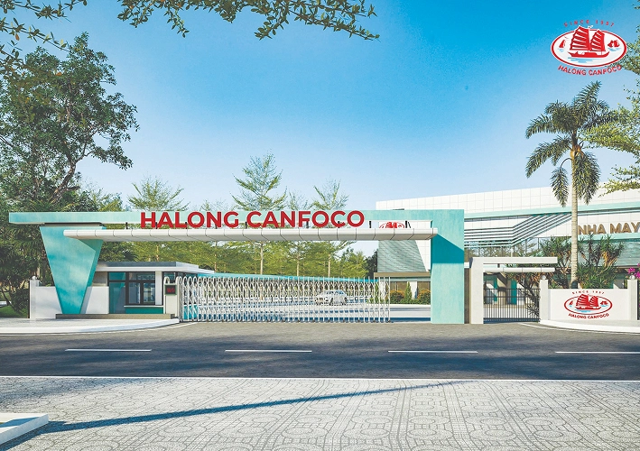 HALONG CANFOCO - DANANG